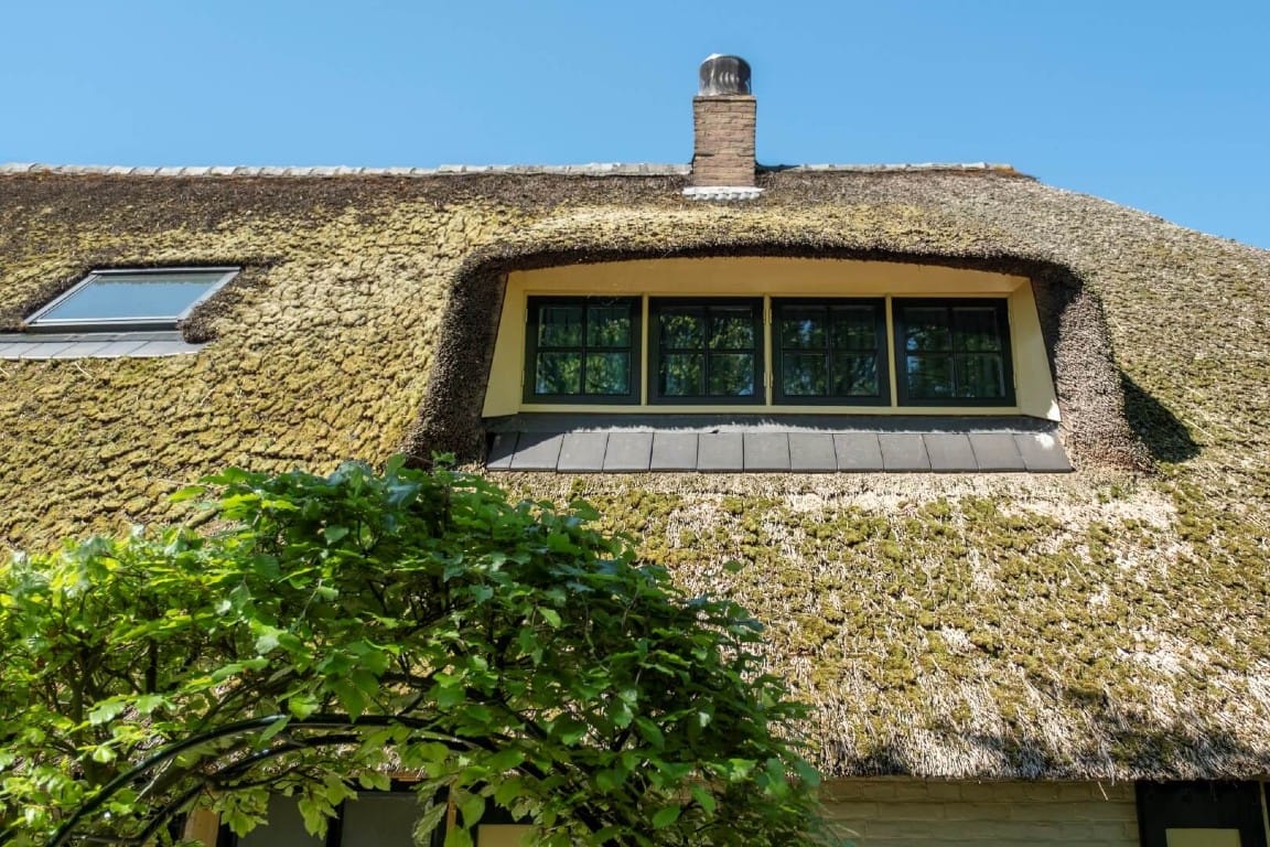 Mos verwijderen rieten dak