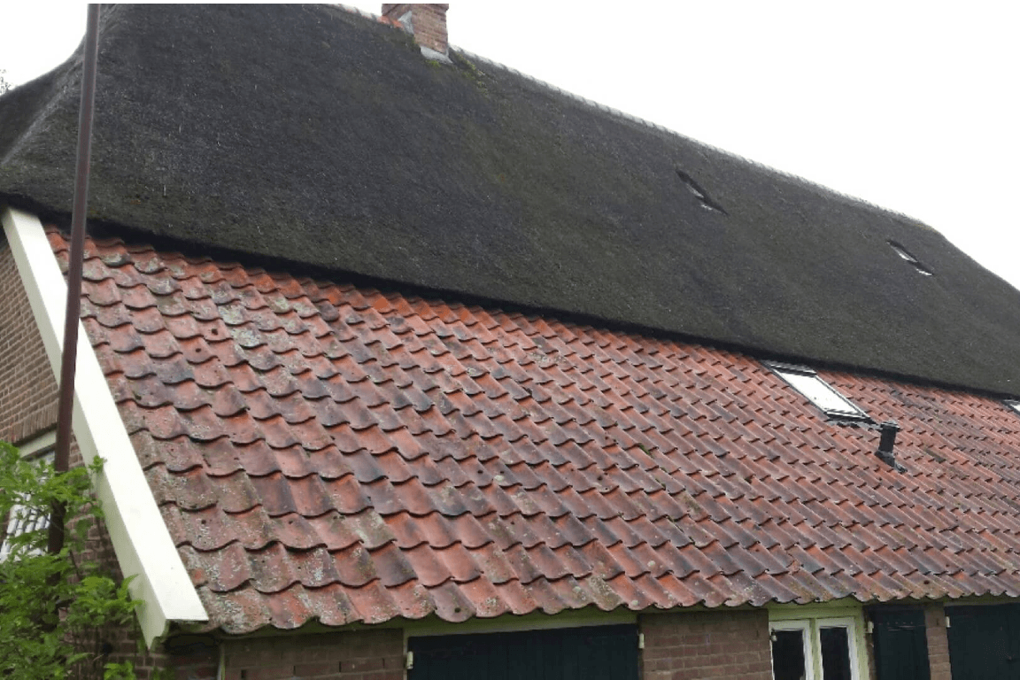 Onderhoud rieten dak