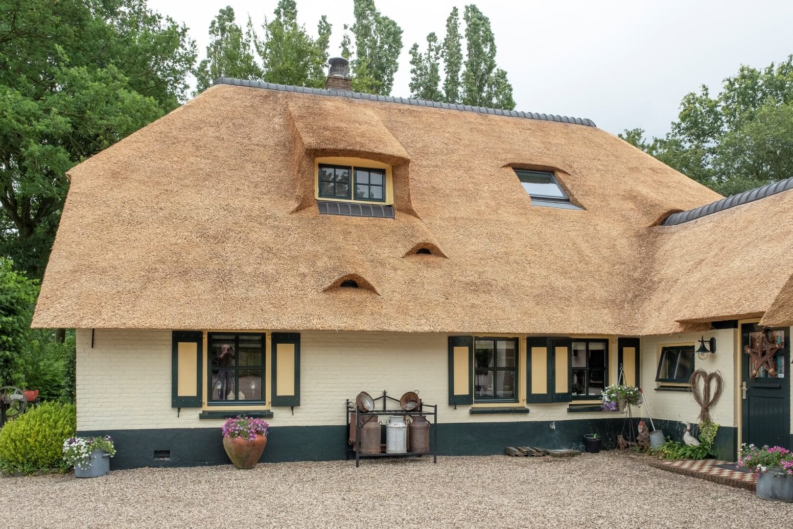 Vervangen rieten dak