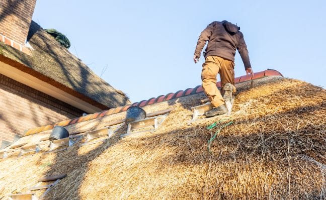 dienst-nieuw-rieten-dak
